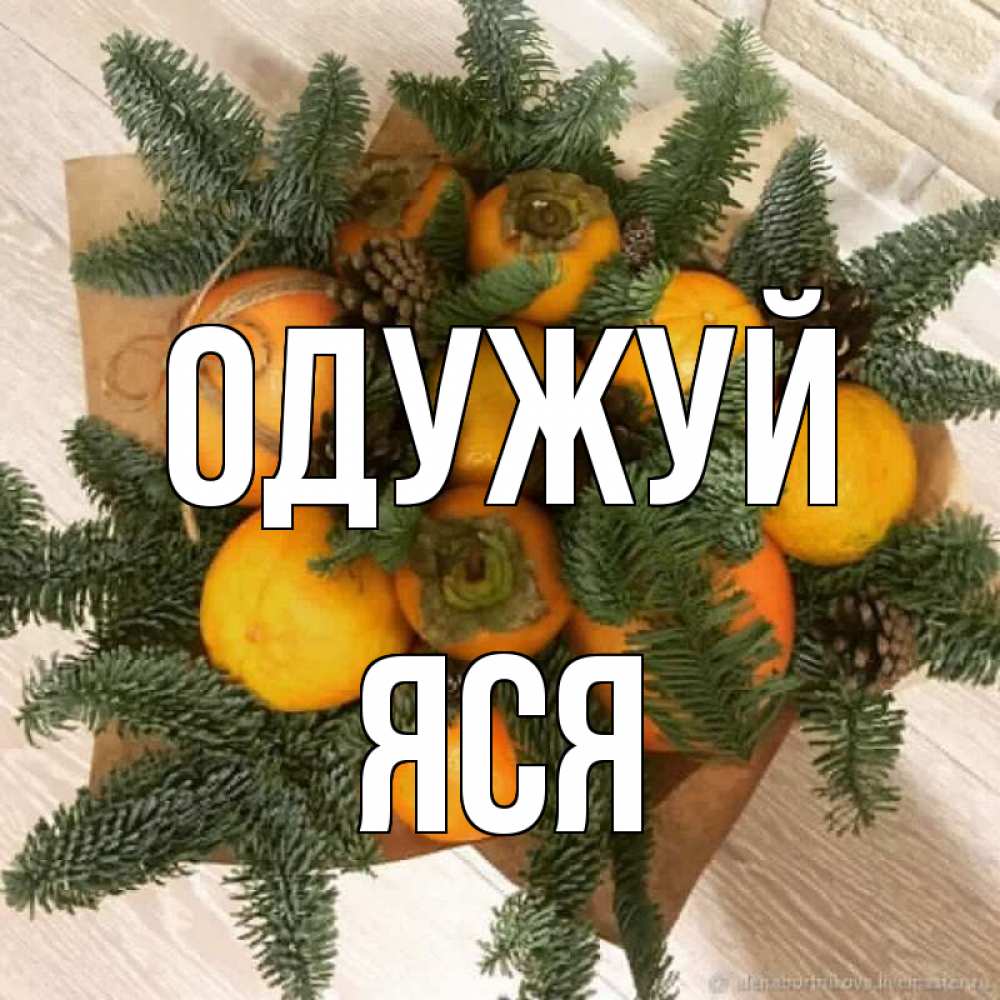 Открытка на каждый день з підписом, Яся Одужуй апельсины и хурьма Прикольна листівка з побажанням онлайн скачати безкоштовно 