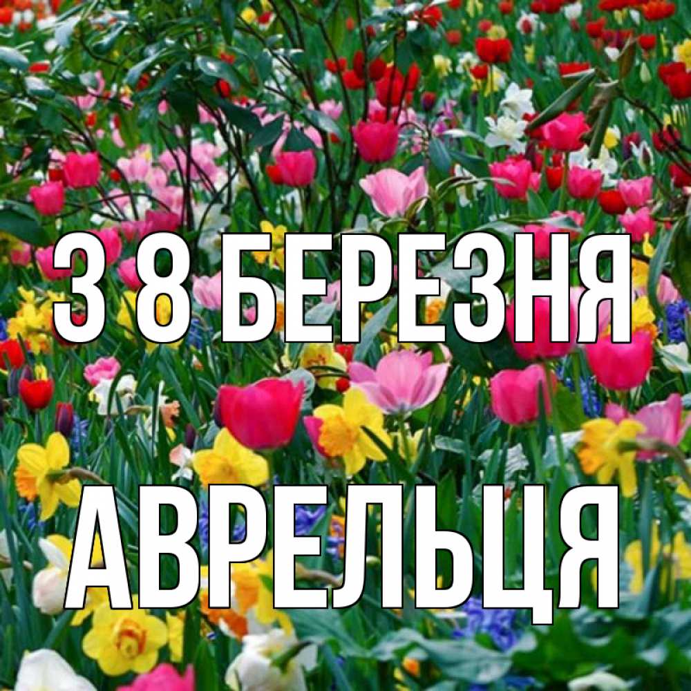 Открытка на каждый день з підписом, Аврельця З 8 БЕРЕЗНЯ с международным женским днем поздравления для женщины Прикольна листівка з побажанням онлайн скачати безкоштовно 