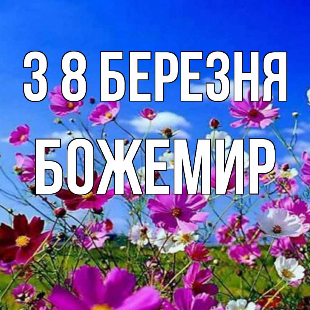 Открытка на каждый день з підписом, Божемир З 8 БЕРЕЗНЯ цветы Прикольна листівка з побажанням онлайн скачати безкоштовно 