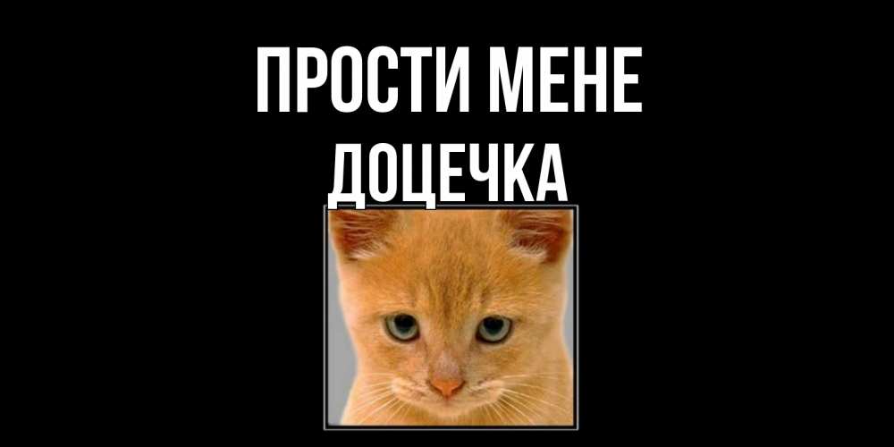 Открытка на каждый день з підписом, Доцечка Прости мене рыжий грустный кот просит прощения Прикольна листівка з побажанням онлайн скачати безкоштовно 