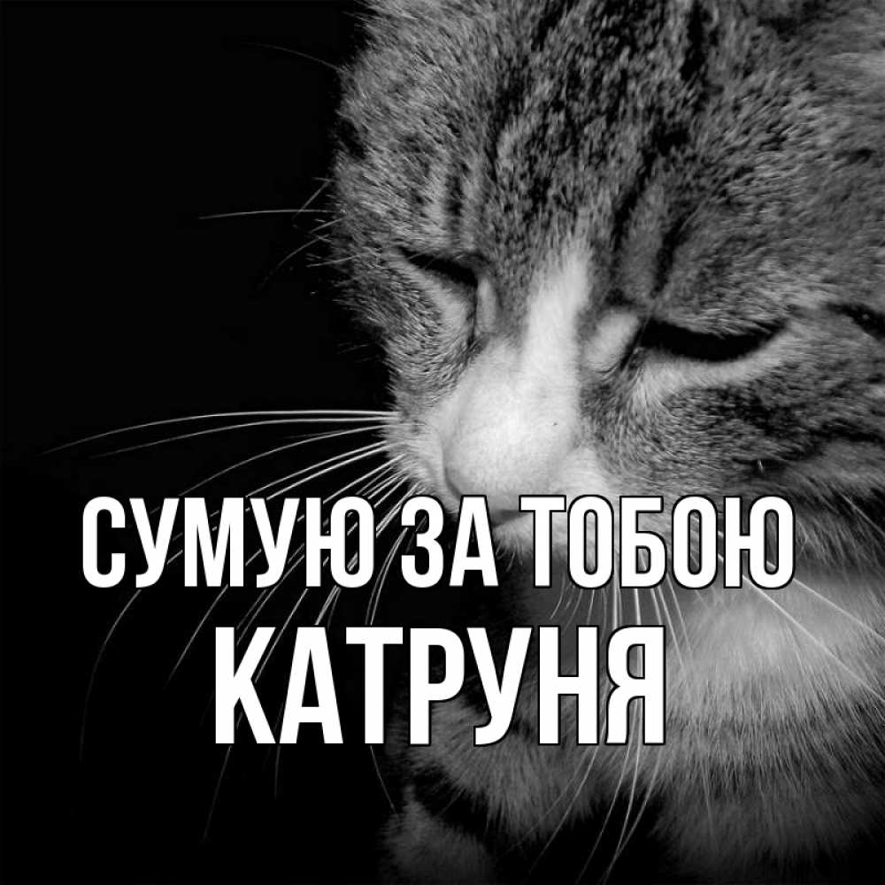 Открытка на каждый день з підписом, Катруня Сумую за тобою мне скучно Прикольна листівка з побажанням онлайн скачати безкоштовно 