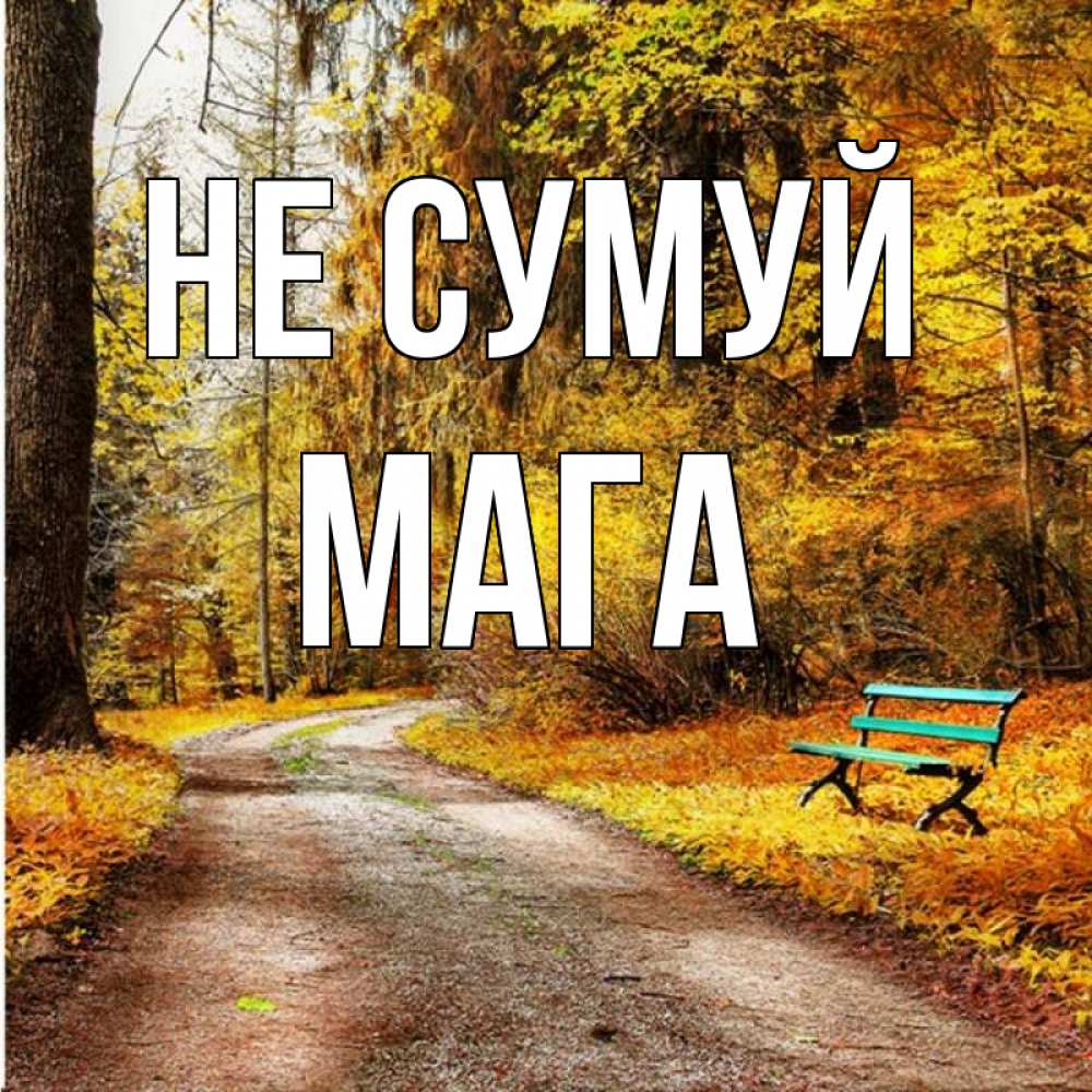 Открытка на каждый день з підписом, Мага Не сумуй зеленая лавочка Прикольна листівка з побажанням онлайн скачати безкоштовно 
