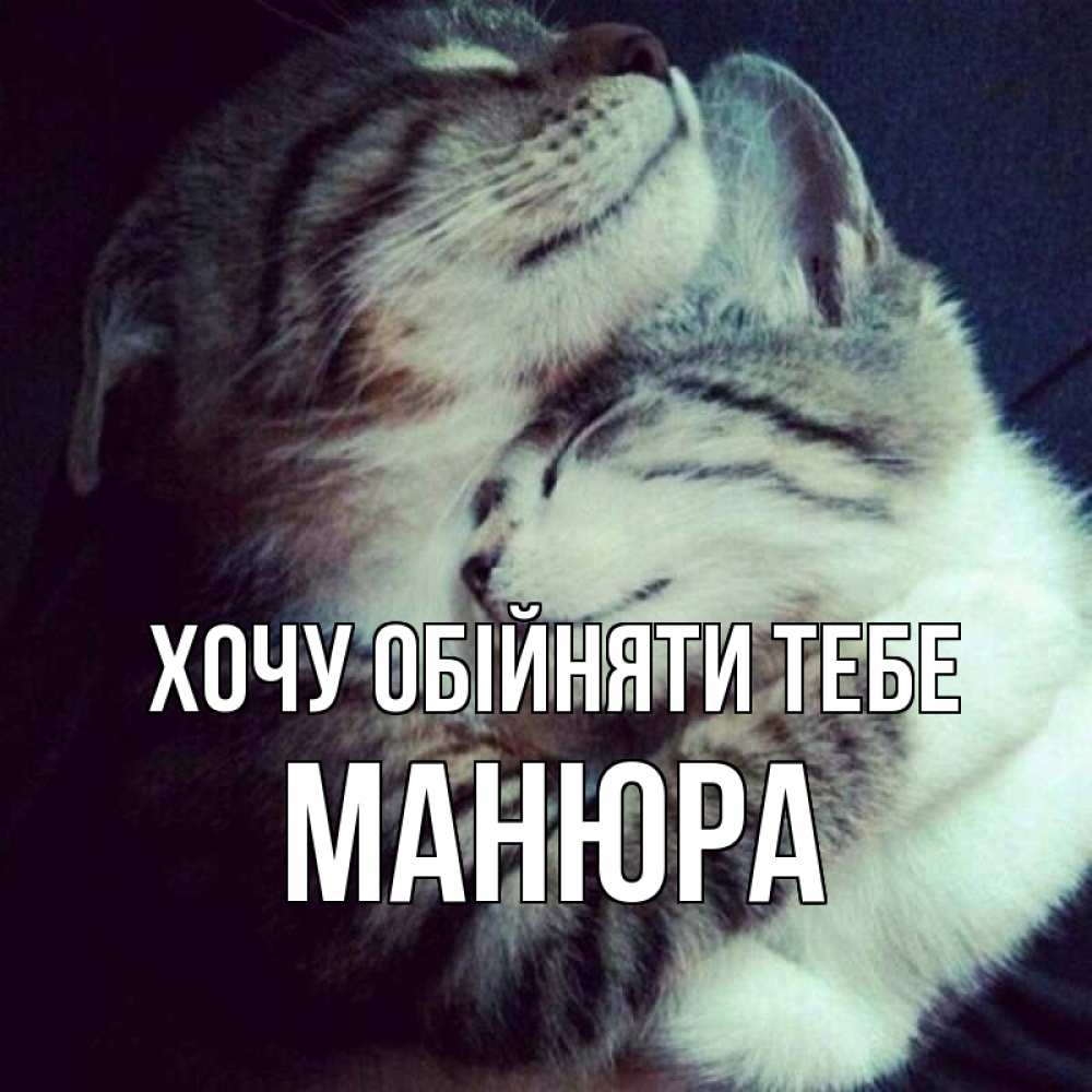 Открытка на каждый день з підписом, Манюра Хочу обійняти тебе полосатики Прикольна листівка з побажанням онлайн скачати безкоштовно 