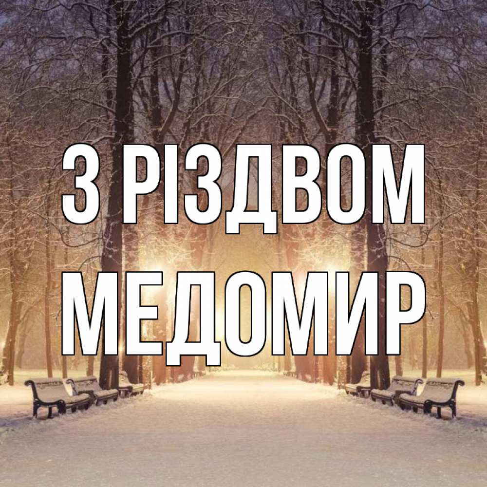 Открытка на каждый день з підписом, Медомир З Різдвом зима, парк, фонарь, лес Прикольна листівка з побажанням онлайн скачати безкоштовно 
