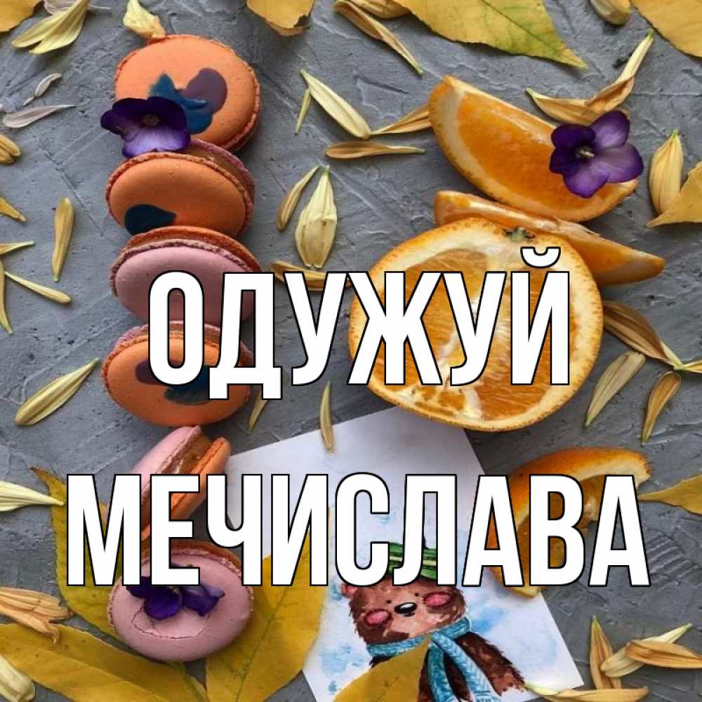 Открытка на каждый день з підписом, Мечислава Одужуй не болейте Прикольна листівка з побажанням онлайн скачати безкоштовно 