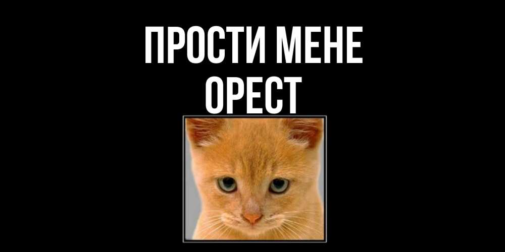 Открытка на каждый день з підписом, Орест Прости мене рыжий грустный кот просит прощения Прикольна листівка з побажанням онлайн скачати безкоштовно 