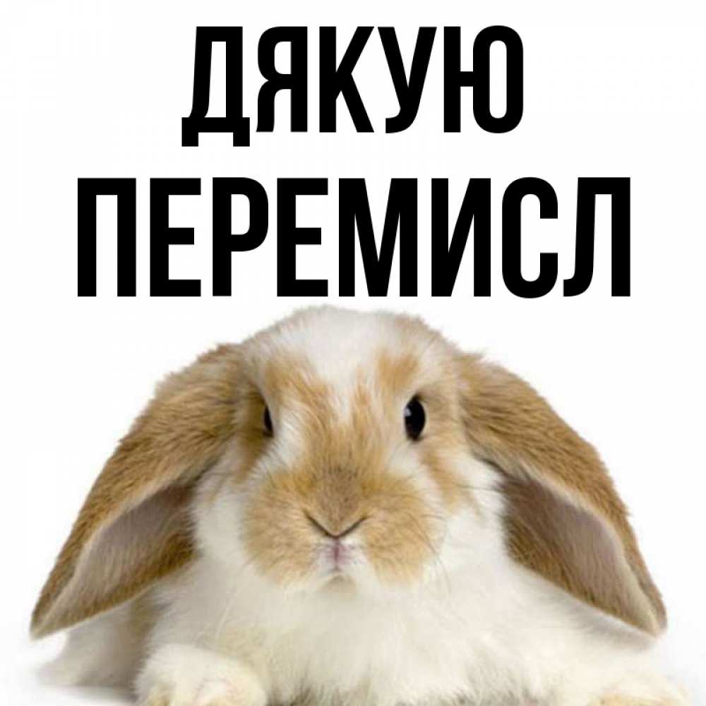 Открытка на каждый день з підписом, Перемисл Дякую коричнево белый заяц Прикольна листівка з побажанням онлайн скачати безкоштовно 