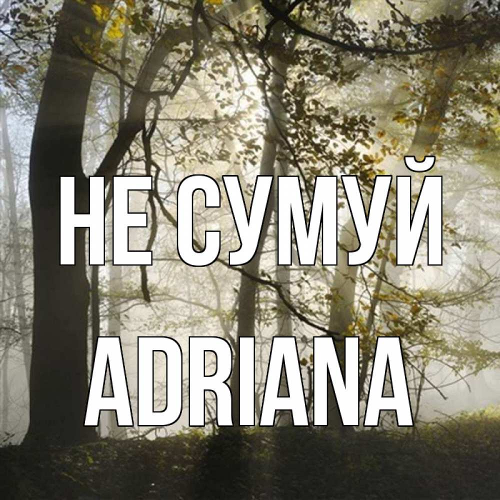 Открытка на каждый день з підписом, Adriana Не сумуй лес и свет Прикольна листівка з побажанням онлайн скачати безкоштовно 
