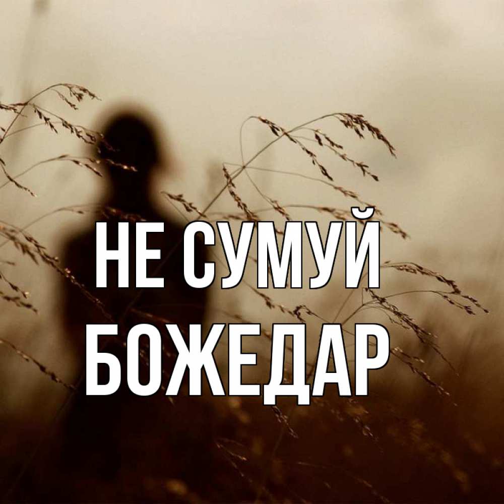Открытка на каждый день з підписом, Божедар Не сумуй грусть Прикольна листівка з побажанням онлайн скачати безкоштовно 
