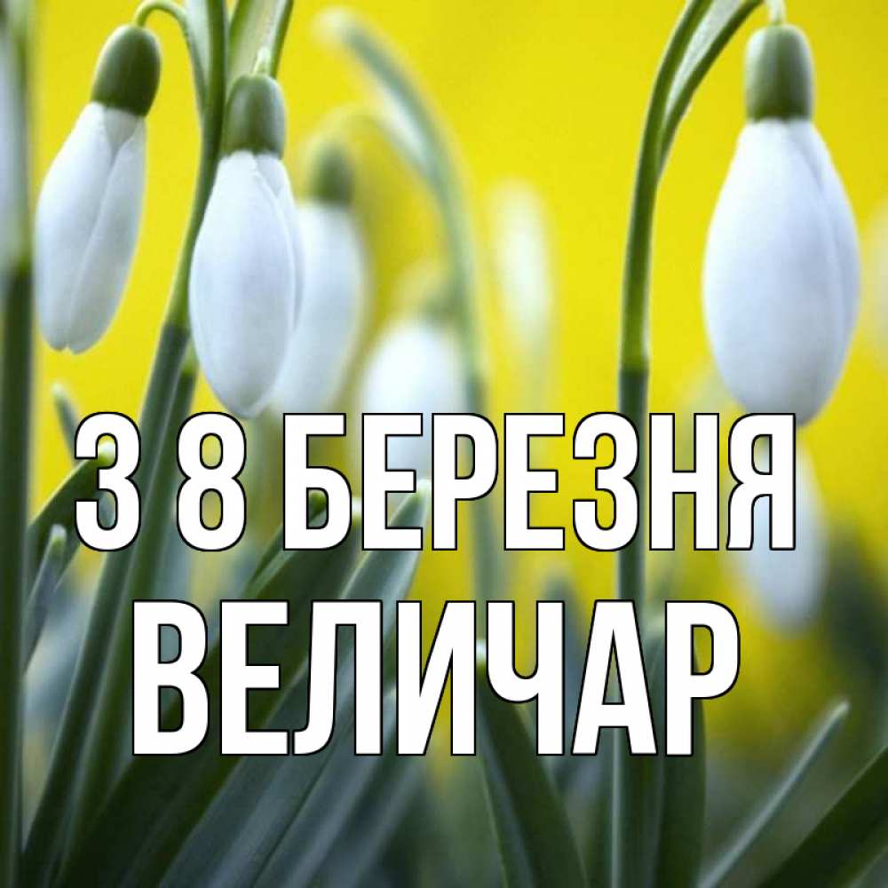 Открытка на каждый день з підписом, Величар З 8 БЕРЕЗНЯ весенние цветы Прикольна листівка з побажанням онлайн скачати безкоштовно 