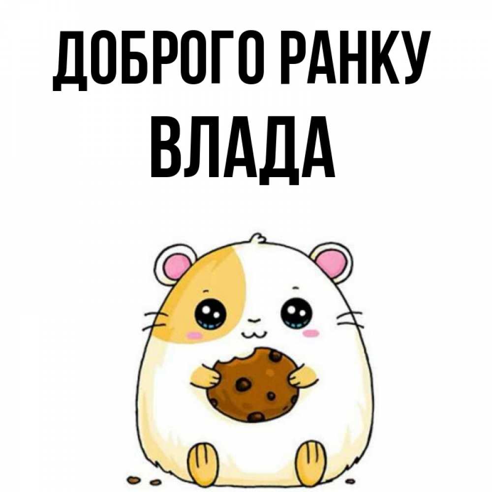 Открытка на каждый день з підписом, Влада Доброго ранку есть печеньку. Утречко Прикольна листівка з побажанням онлайн скачати безкоштовно 