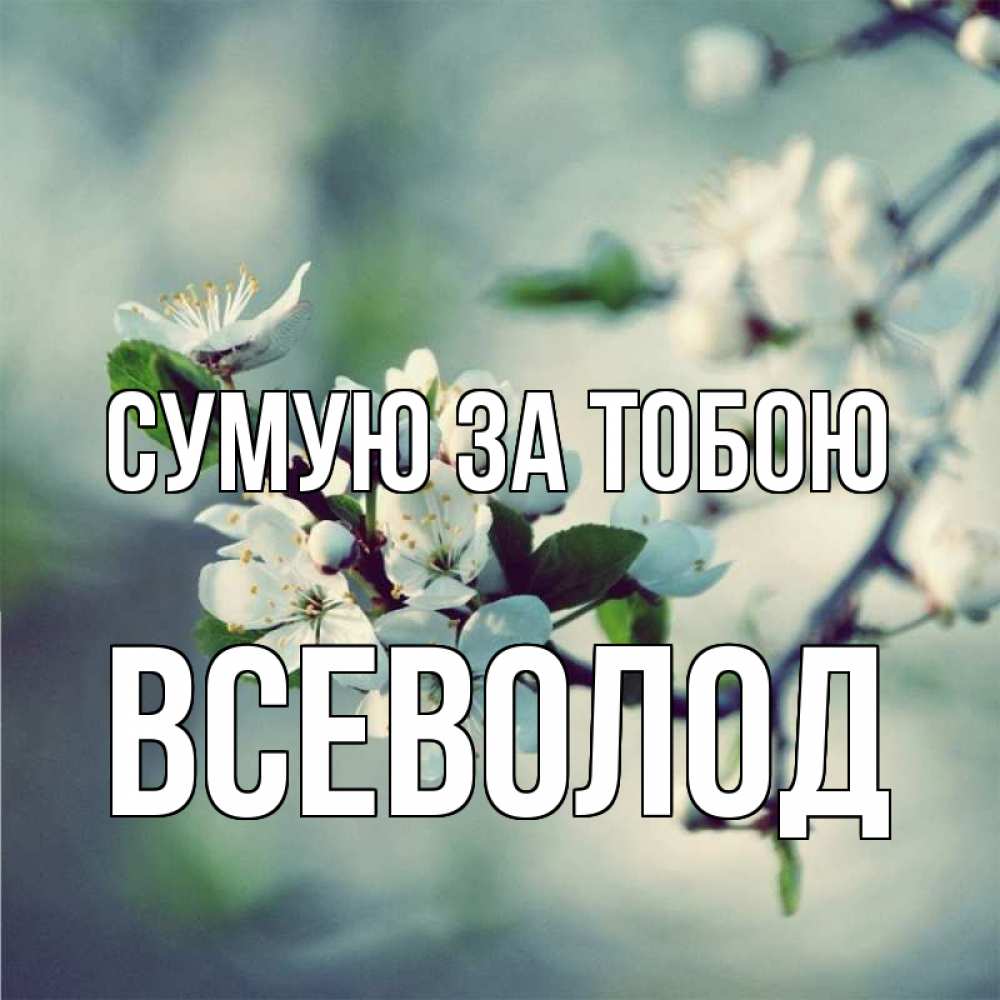 Открытка на каждый день з підписом, Всеволод Сумую за тобою весна Прикольна листівка з побажанням онлайн скачати безкоштовно 