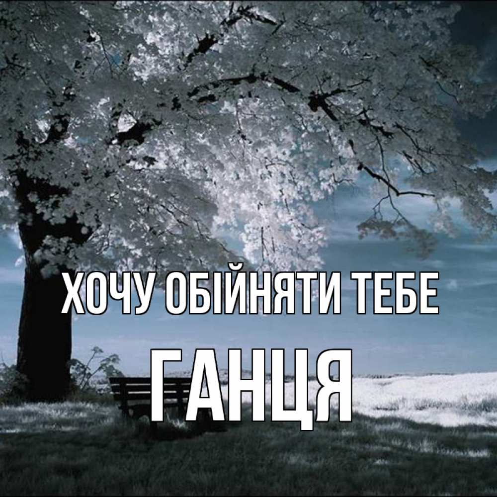 Открытка на каждый день з підписом, Ганця Хочу обійняти тебе дерево Прикольна листівка з побажанням онлайн скачати безкоштовно 