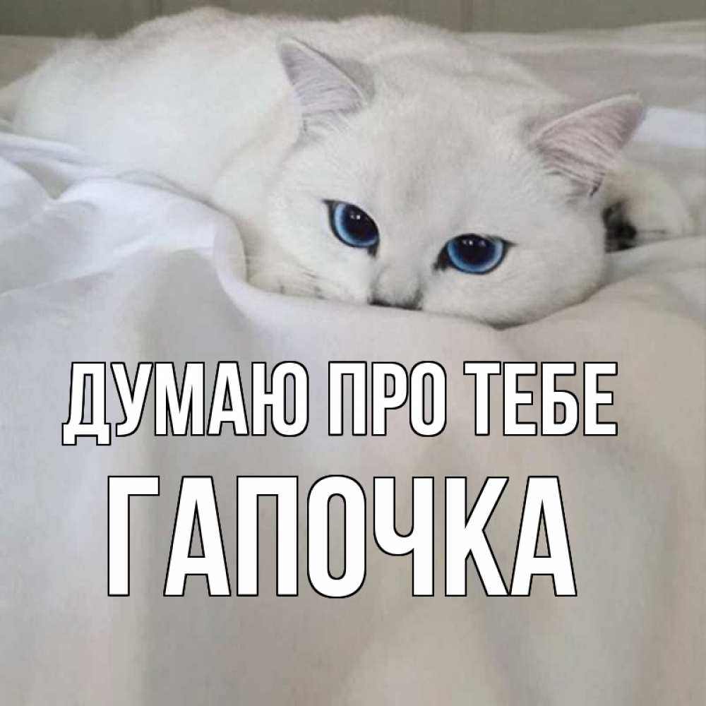 Открытка на каждый день з підписом, Гапочка Думаю про тебе я очень по тебе скучаю и тоскую Прикольна листівка з побажанням онлайн скачати безкоштовно 