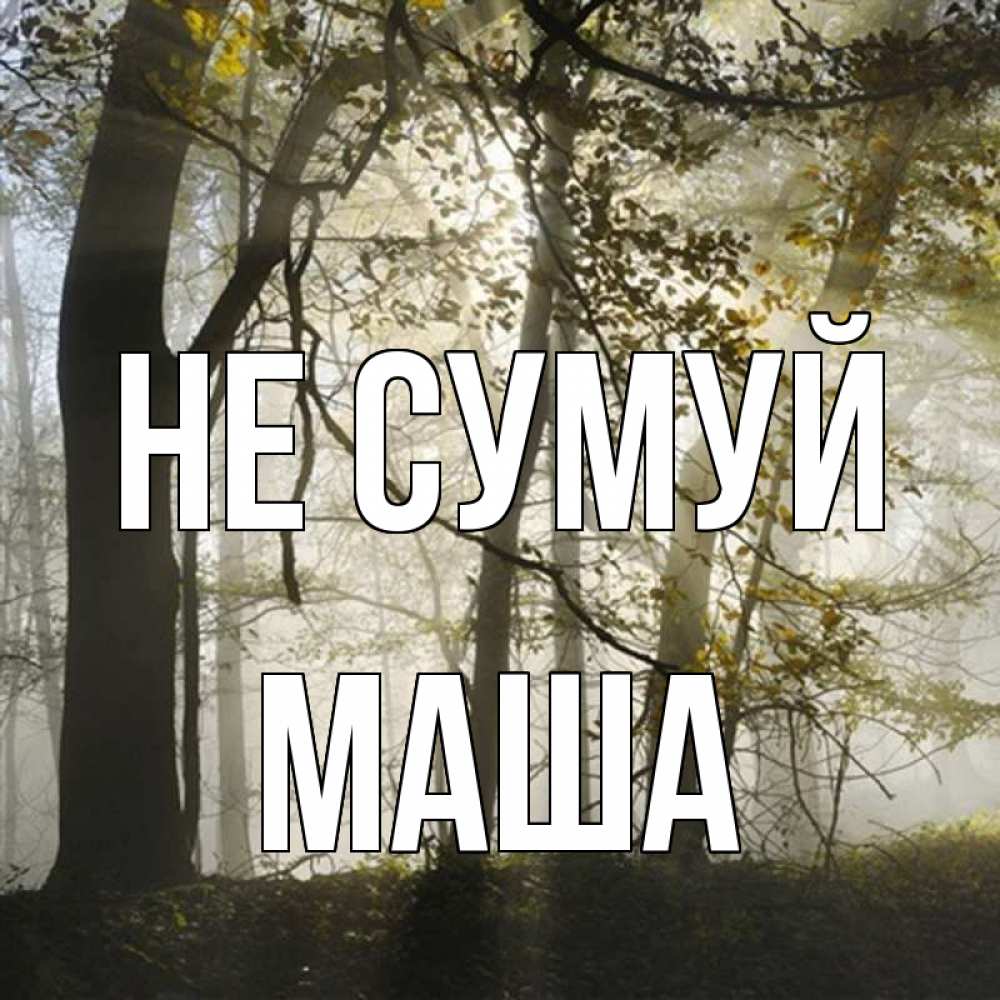 Открытка на каждый день з підписом, Маша Не сумуй лес и свет Прикольна листівка з побажанням онлайн скачати безкоштовно 