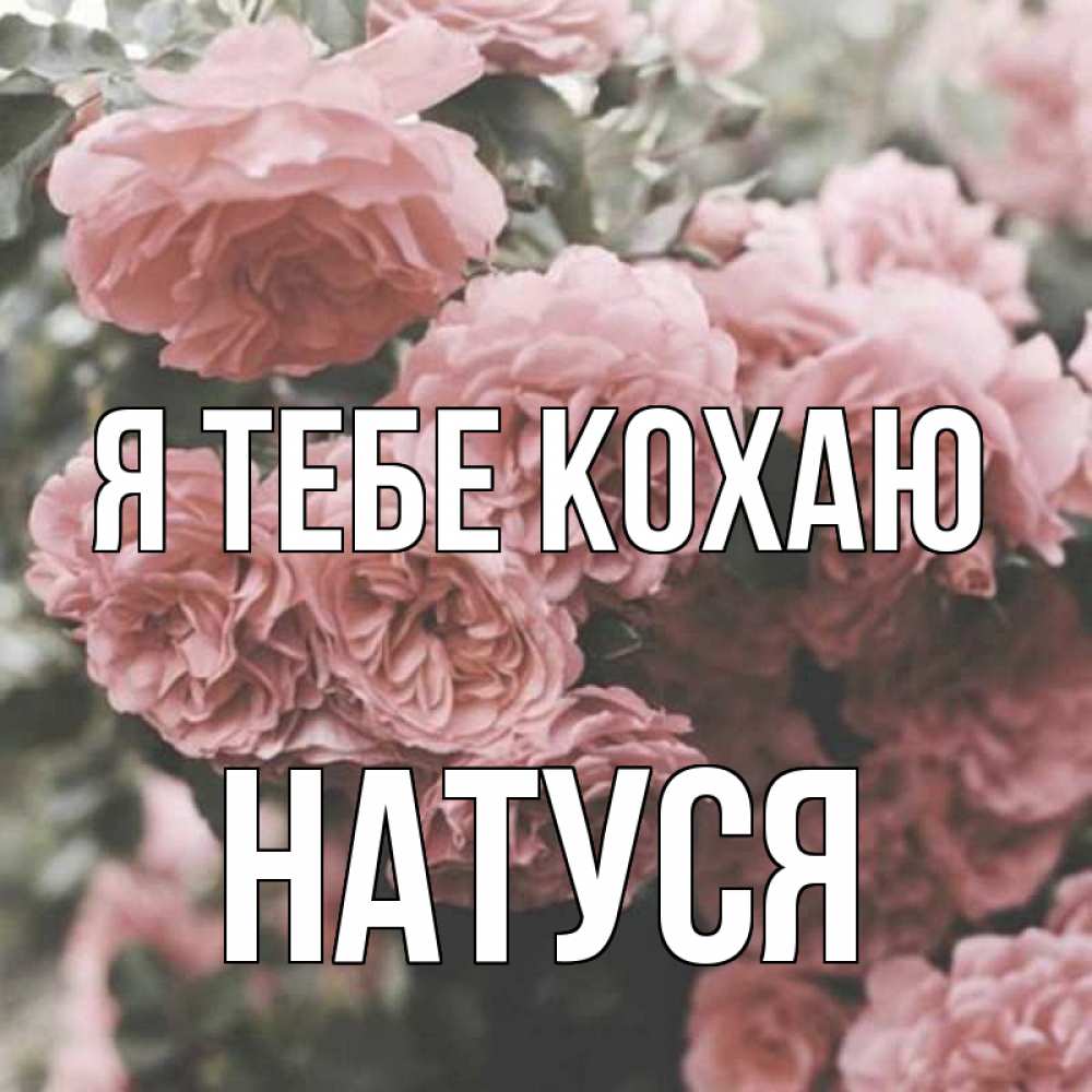 Открытка на каждый день з підписом, Натуся Я тебе кохаю розы 3 Прикольна листівка з побажанням онлайн скачати безкоштовно 