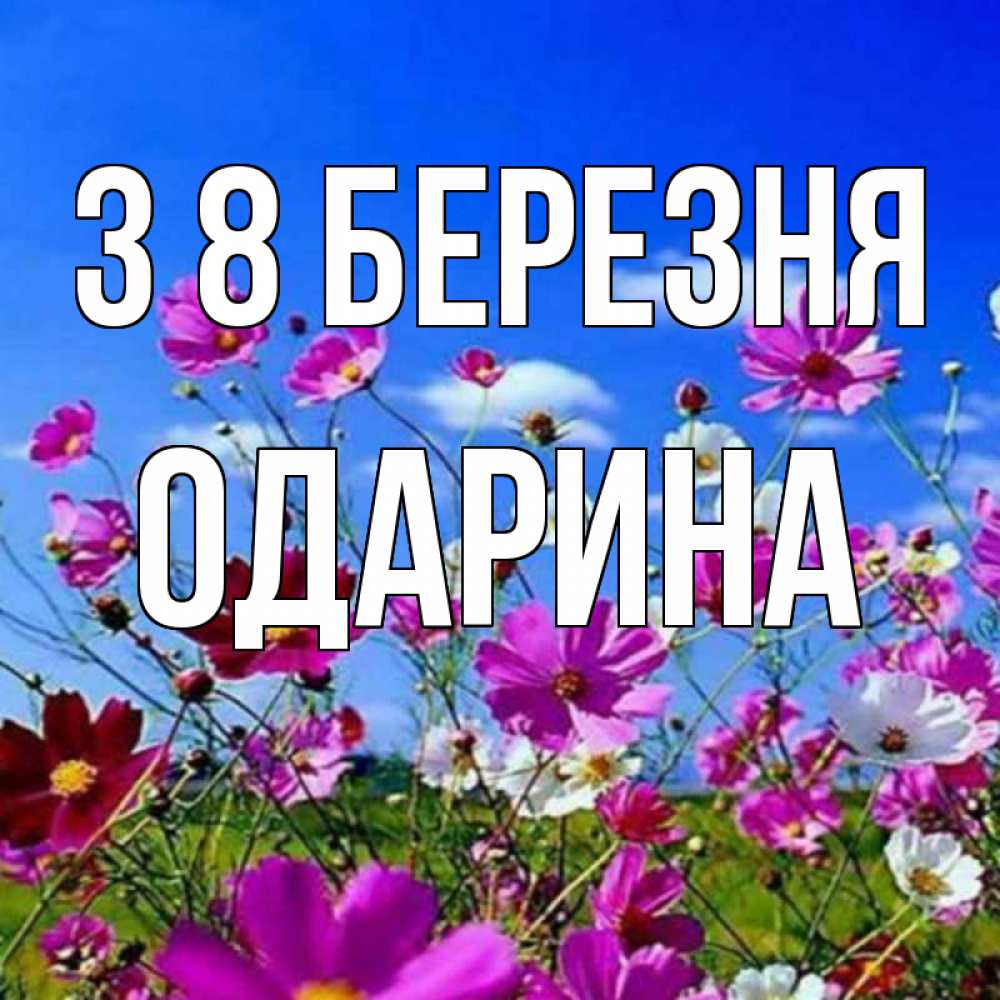 Открытка на каждый день з підписом, Одарина З 8 БЕРЕЗНЯ цветы Прикольна листівка з побажанням онлайн скачати безкоштовно 