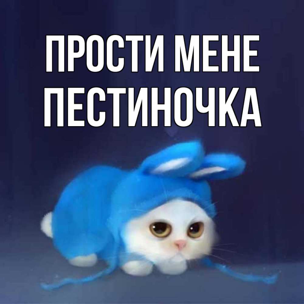 Открытка на каждый день з підписом, Пестиночка Прости мене невинный котозай просит прощения Прикольна листівка з побажанням онлайн скачати безкоштовно 