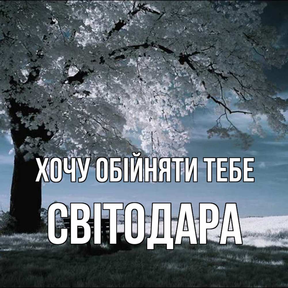 Открытка на каждый день з підписом, Світодара Хочу обійняти тебе дерево Прикольна листівка з побажанням онлайн скачати безкоштовно 