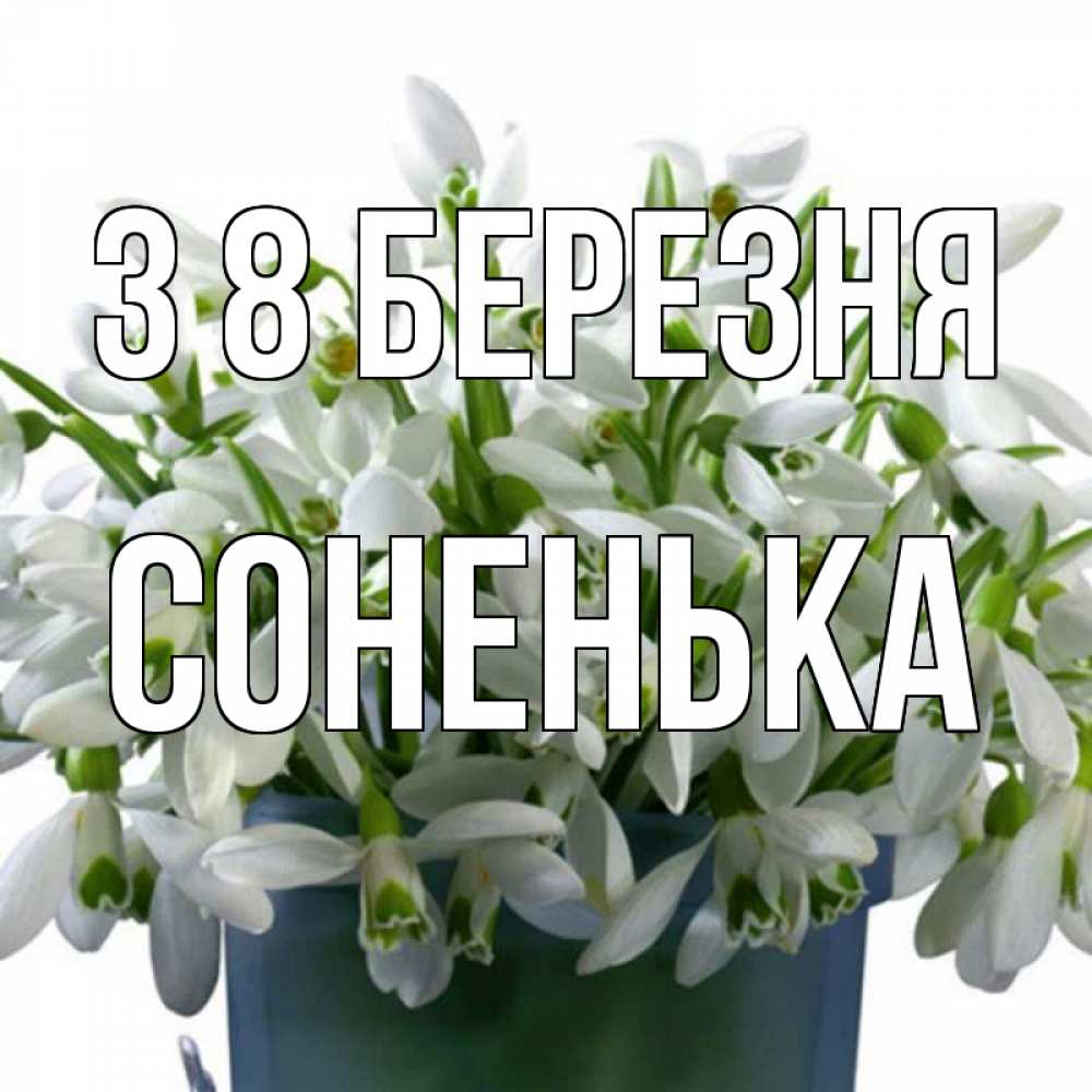 Открытка на каждый день з підписом, Соненька З 8 БЕРЕЗНЯ цветы к международному женскому дню Прикольна листівка з побажанням онлайн скачати безкоштовно 