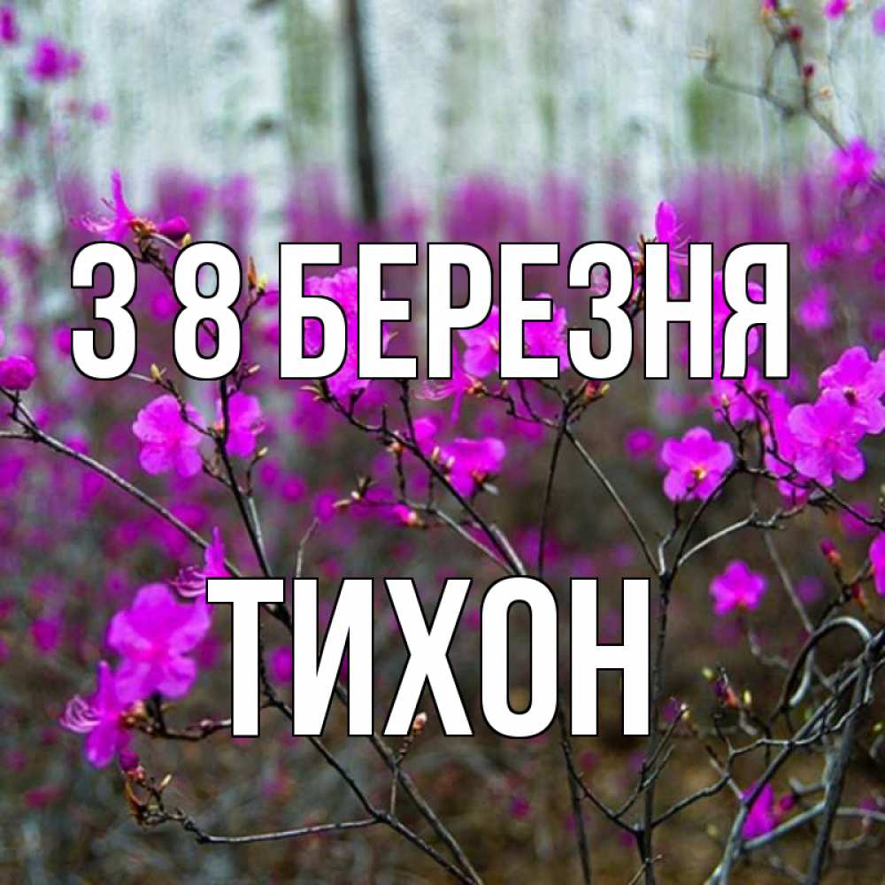 Открытка на каждый день з підписом, Тихон З 8 БЕРЕЗНЯ дикие цветы Прикольна листівка з побажанням онлайн скачати безкоштовно 