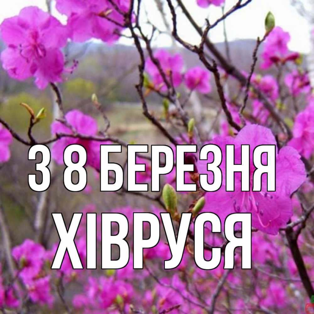 Открытка на каждый день з підписом, Хівруся З 8 БЕРЕЗНЯ международный женский день Прикольна листівка з побажанням онлайн скачати безкоштовно 