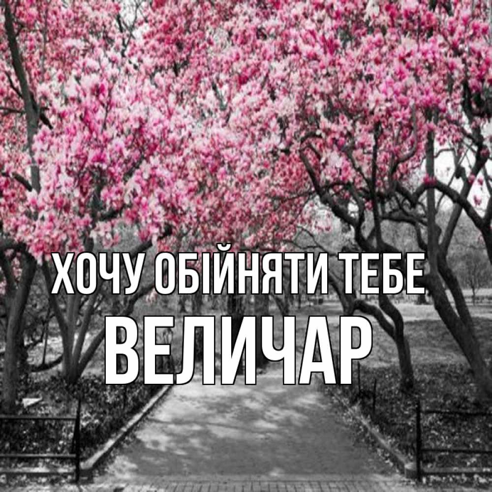 Открытка на каждый день з підписом, Величар Хочу обійняти тебе обработанное фото Прикольна листівка з побажанням онлайн скачати безкоштовно 