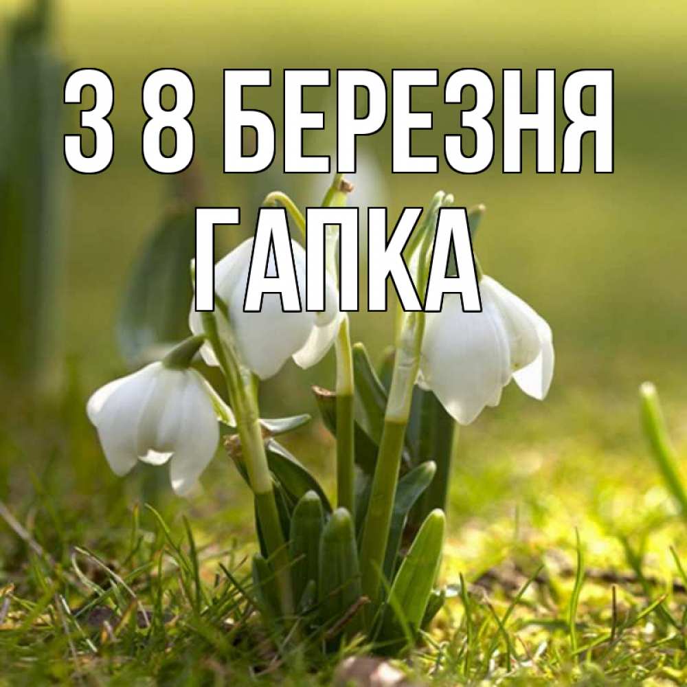 Открытка на каждый день з підписом, Гапка З 8 БЕРЕЗНЯ ранние цветы 2 Прикольна листівка з побажанням онлайн скачати безкоштовно 