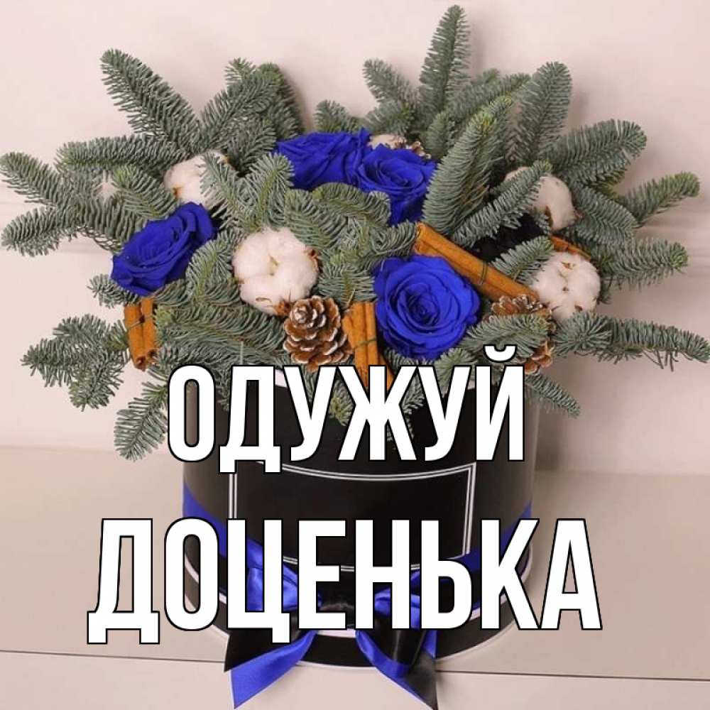 Открытка на каждый день з підписом, Доценька Одужуй короче кто то загрузил эти шишки Прикольна листівка з побажанням онлайн скачати безкоштовно 