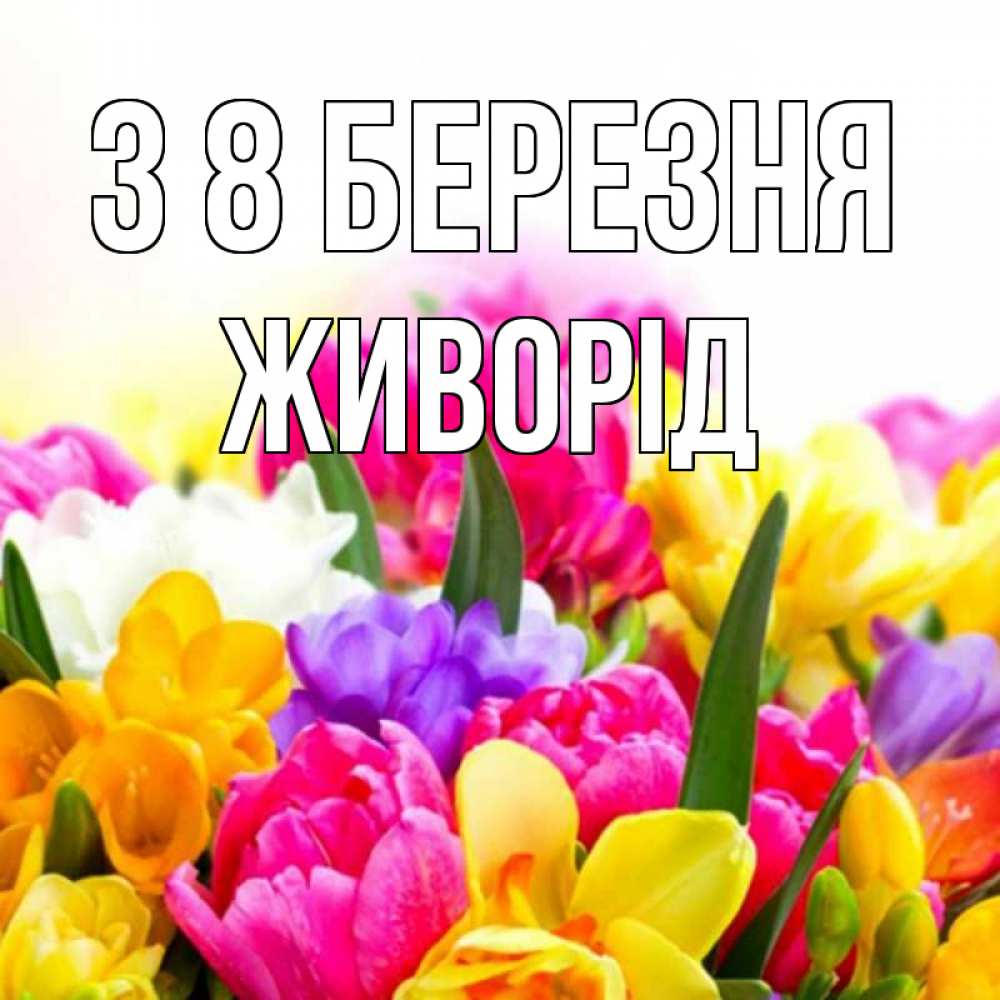 Открытка на каждый день з підписом, Живорід З 8 БЕРЕЗНЯ тюльпаны Прикольна листівка з побажанням онлайн скачати безкоштовно 