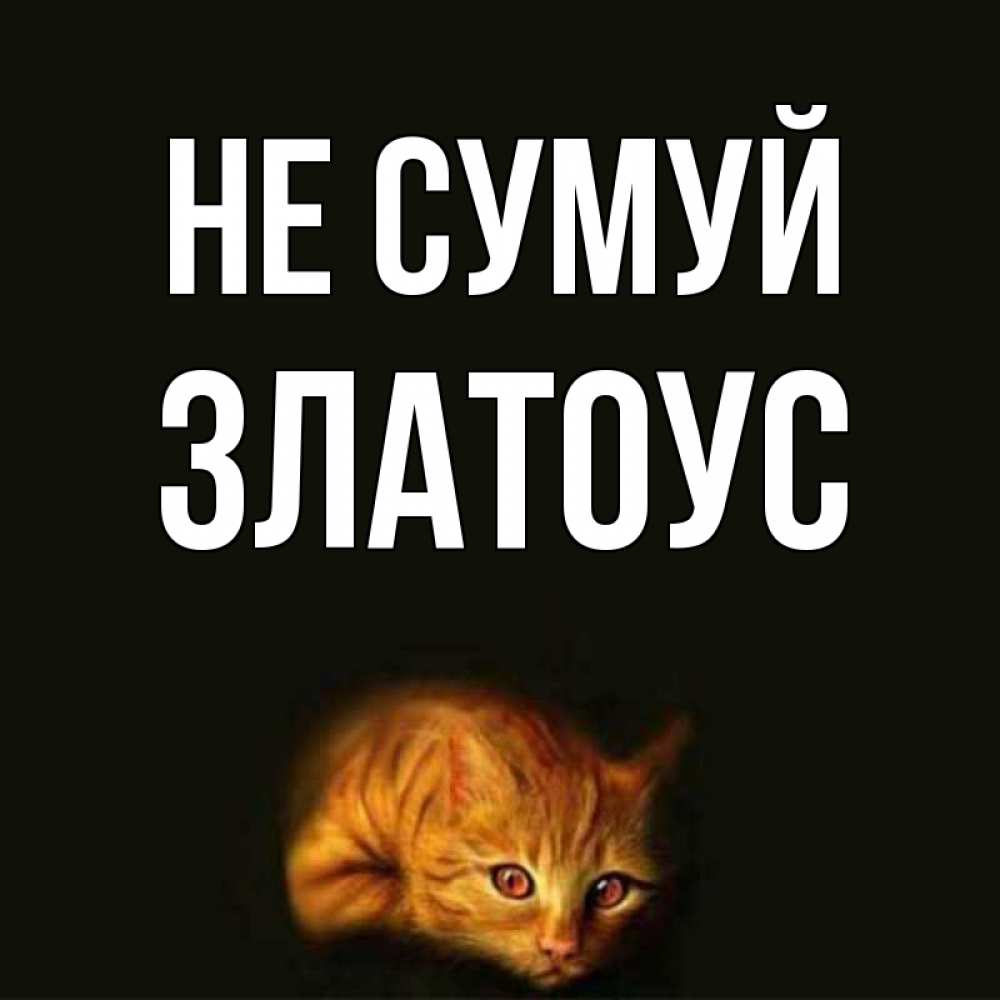 Открытка на каждый день з підписом, Златоус Не сумуй лежащий кот в темноте Прикольна листівка з побажанням онлайн скачати безкоштовно 