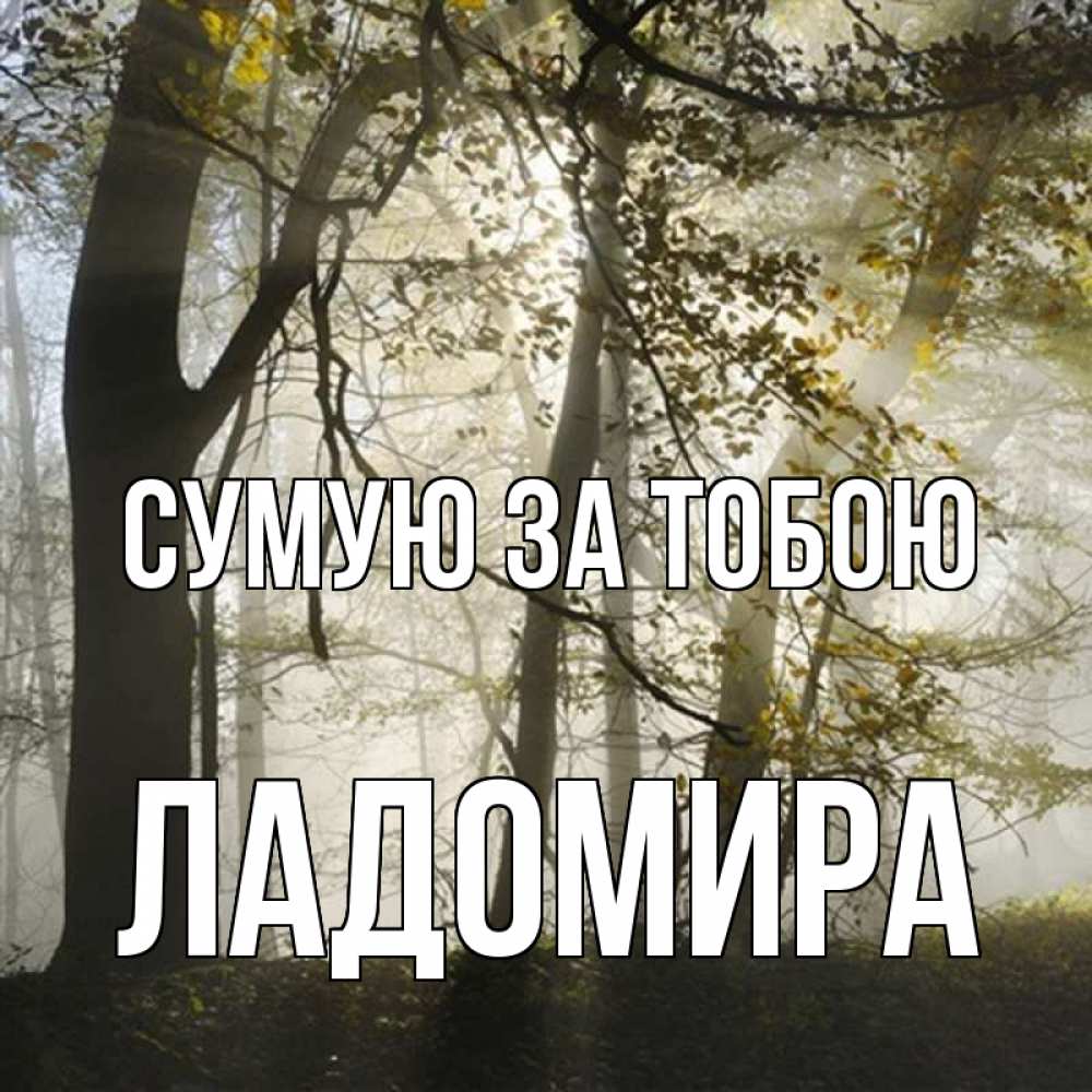 Открытка на каждый день з підписом, Ладомира Сумую за тобою грустно Прикольна листівка з побажанням онлайн скачати безкоштовно 