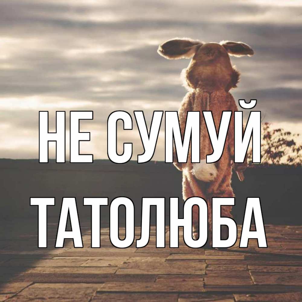 Открытка на каждый день з підписом, Татолюба Не сумуй со спины Прикольна листівка з побажанням онлайн скачати безкоштовно 
