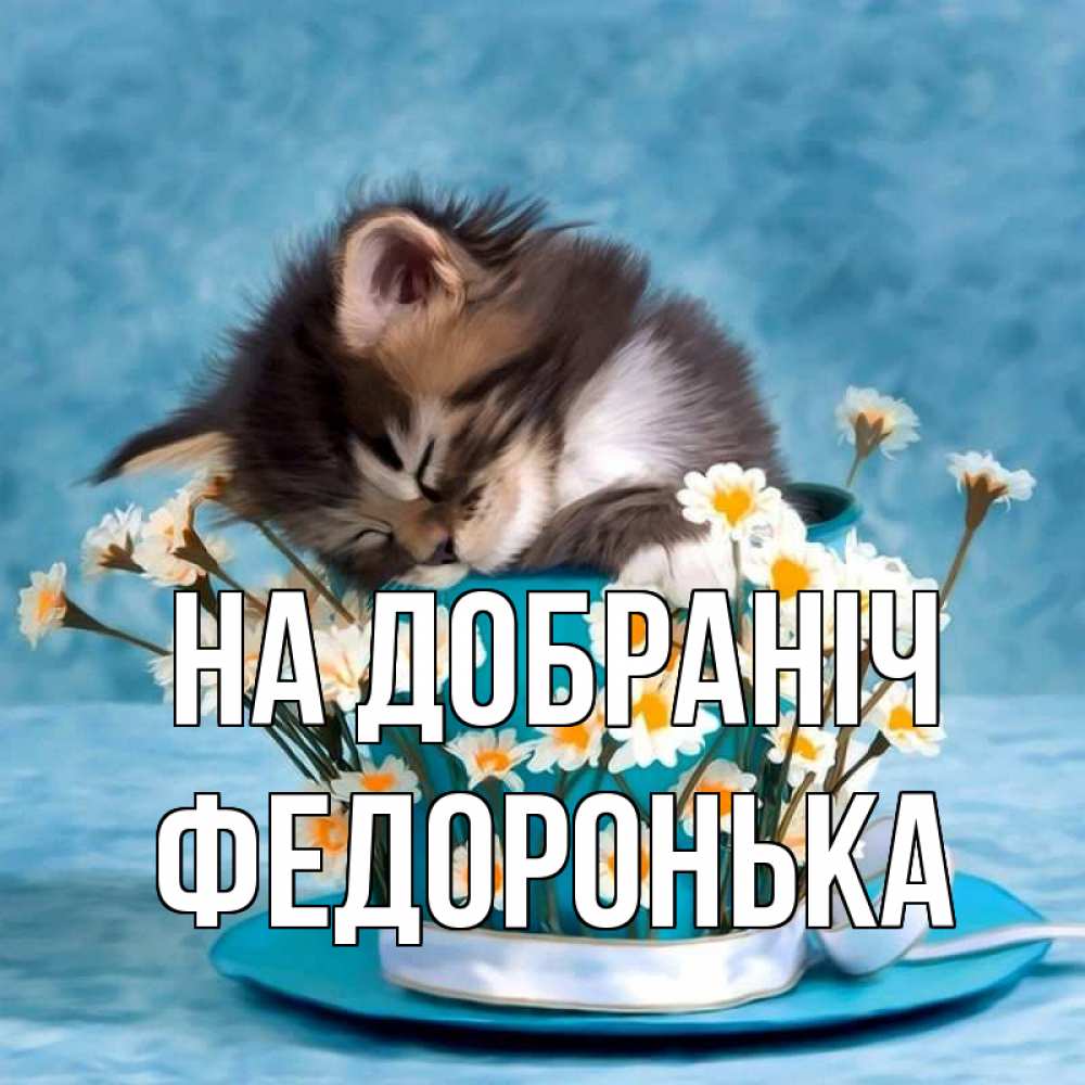Открытка на каждый день з підписом, Федоронька На добраніч котенок спит в кружке с блюдцем Прикольна листівка з побажанням онлайн скачати безкоштовно 