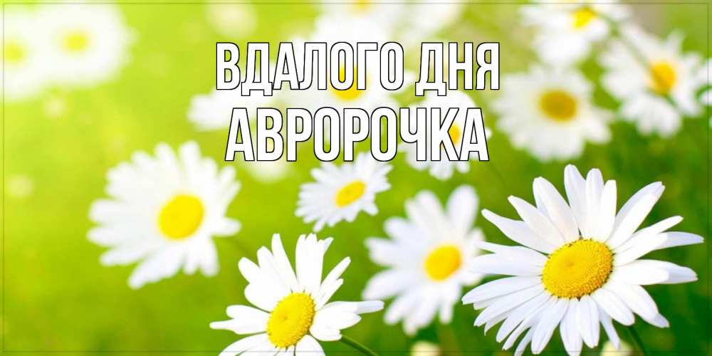Открытка на каждый день з підписом, Авророчка Вдалого дня открытка с ромашками на зеленом фоне Прикольна листівка з побажанням онлайн скачати безкоштовно 