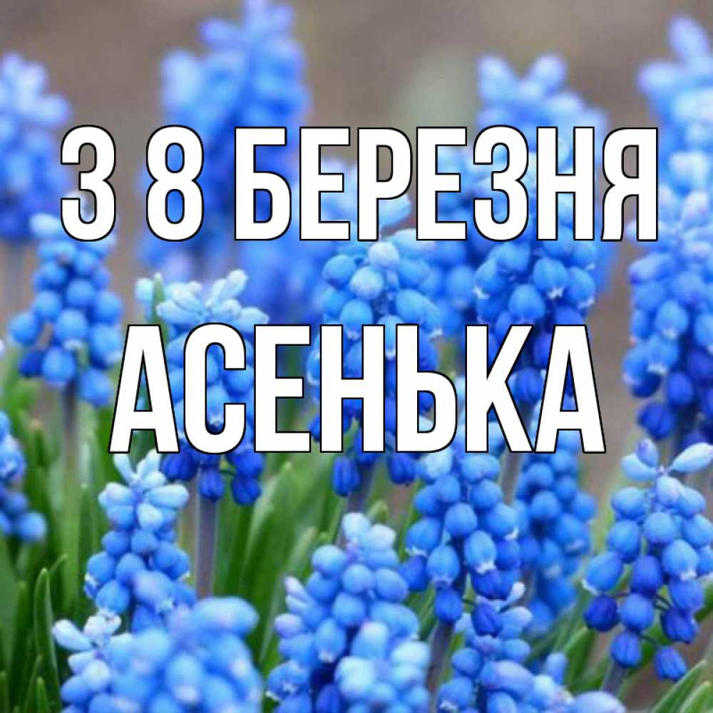 Открытка на каждый день з підписом, Асенька З 8 БЕРЕЗНЯ Поздравительная открытка для женщин с цветами на праздничную дату Прикольна листівка з побажанням онлайн скачати безкоштовно 