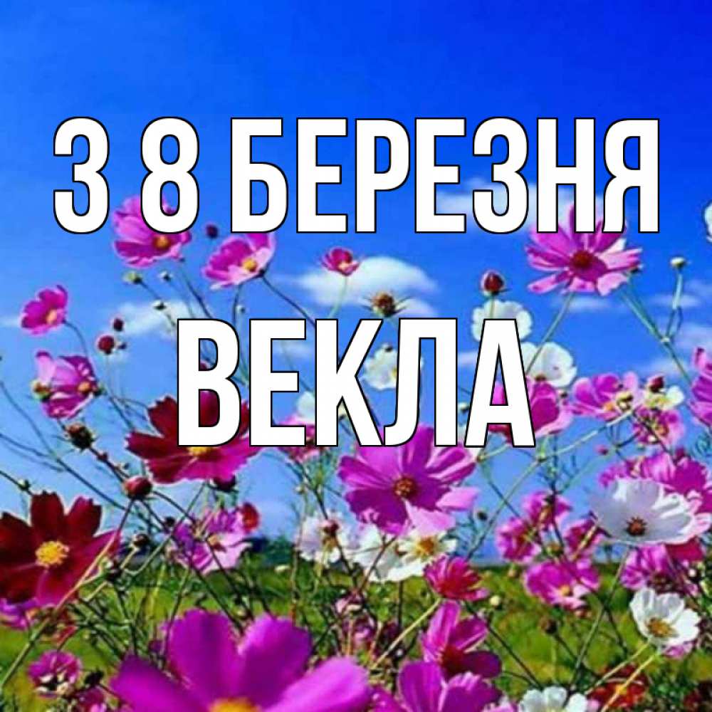 Открытка на каждый день з підписом, Векла З 8 БЕРЕЗНЯ цветы Прикольна листівка з побажанням онлайн скачати безкоштовно 