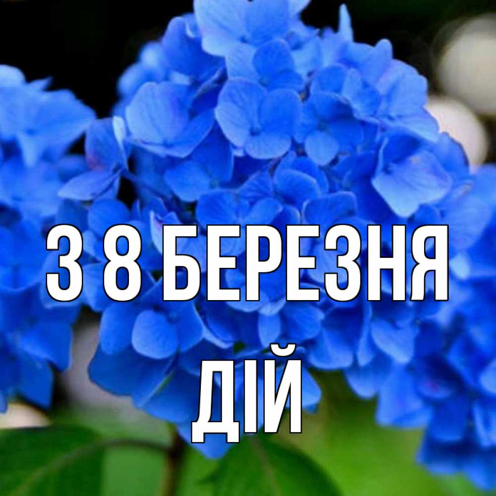 Открытка на каждый день з підписом, Дій З 8 БЕРЕЗНЯ синие цветы Прикольна листівка з побажанням онлайн скачати безкоштовно 