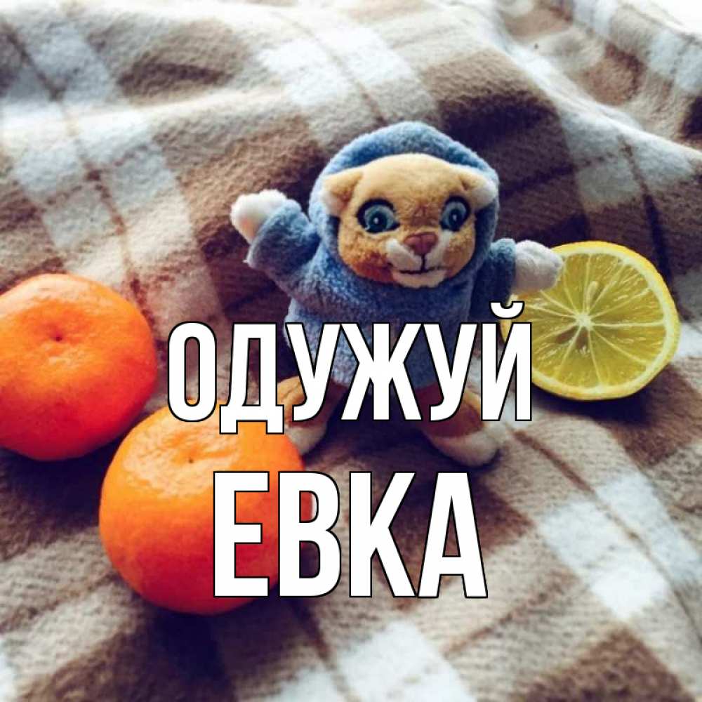Открытка на каждый день з підписом, Евка Одужуй вот тебе апельсинка и лимон Прикольна листівка з побажанням онлайн скачати безкоштовно 