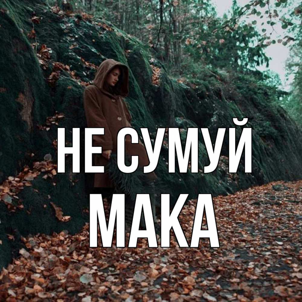 Открытка на каждый день з підписом, Мака Не сумуй осенний лес Прикольна листівка з побажанням онлайн скачати безкоштовно 