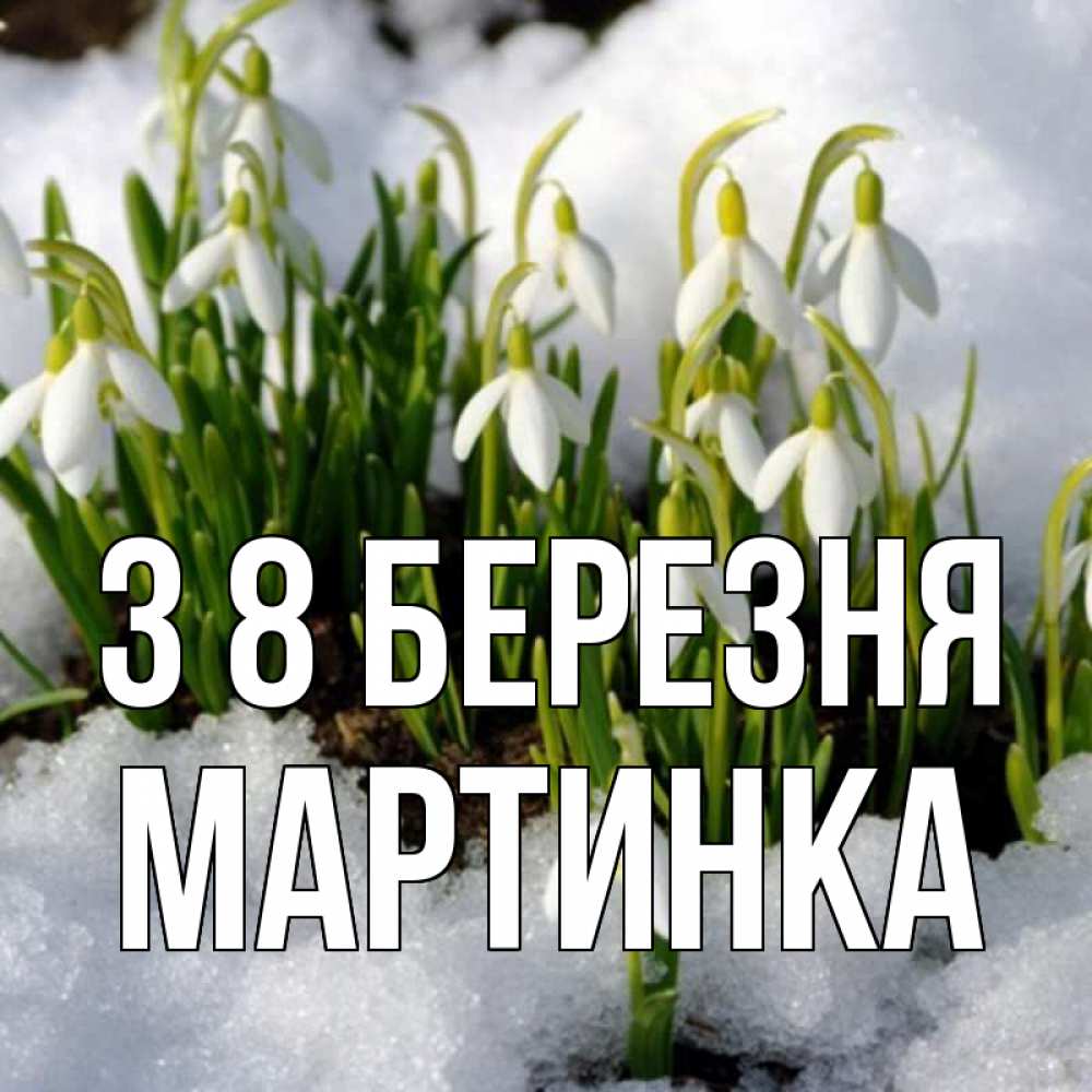 Открытка на каждый день з підписом, Мартинка З 8 БЕРЕЗНЯ цветы весенние Прикольна листівка з побажанням онлайн скачати безкоштовно 