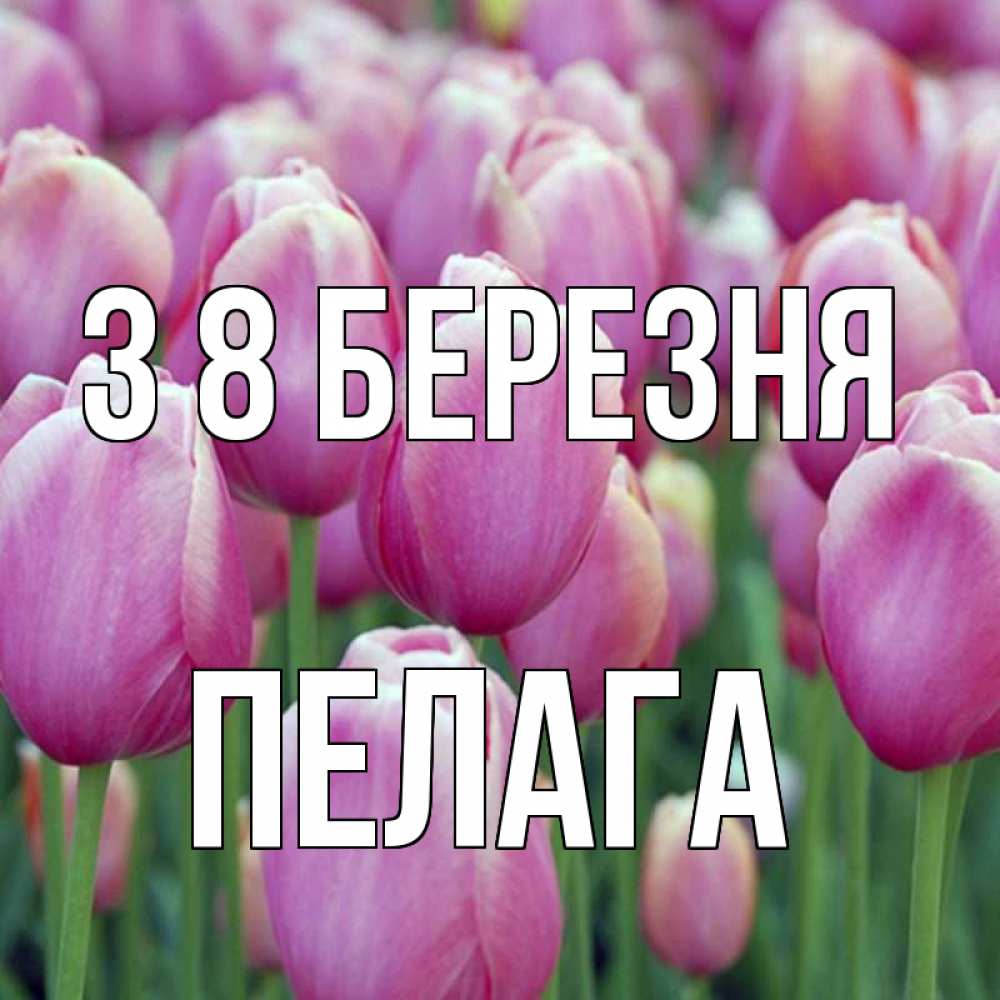 Открытка на каждый день з підписом, Пелага З 8 БЕРЕЗНЯ на международный женский день 3 Прикольна листівка з побажанням онлайн скачати безкоштовно 