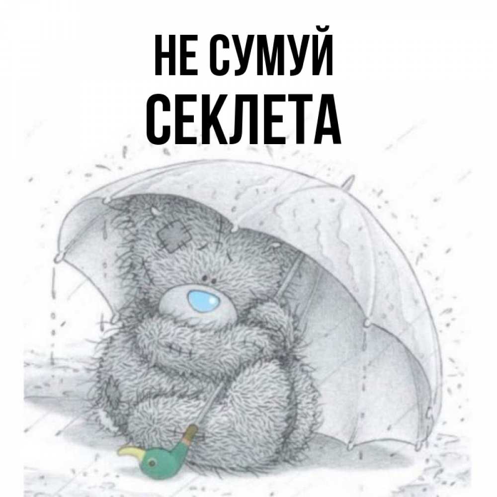 Открытка на каждый день з підписом, Секлета Не сумуй спасите мишку Тедди Прикольна листівка з побажанням онлайн скачати безкоштовно 