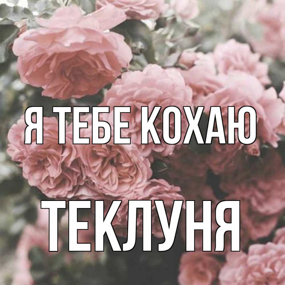 Открытка на каждый день з підписом, Теклуня Я тебе кохаю розы 3 Прикольна листівка з побажанням онлайн скачати безкоштовно 