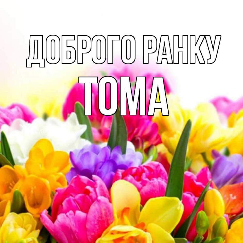 Открытка на каждый день з підписом, Тома Доброго ранку создать открытку со свое подписью Прикольна листівка з побажанням онлайн скачати безкоштовно 