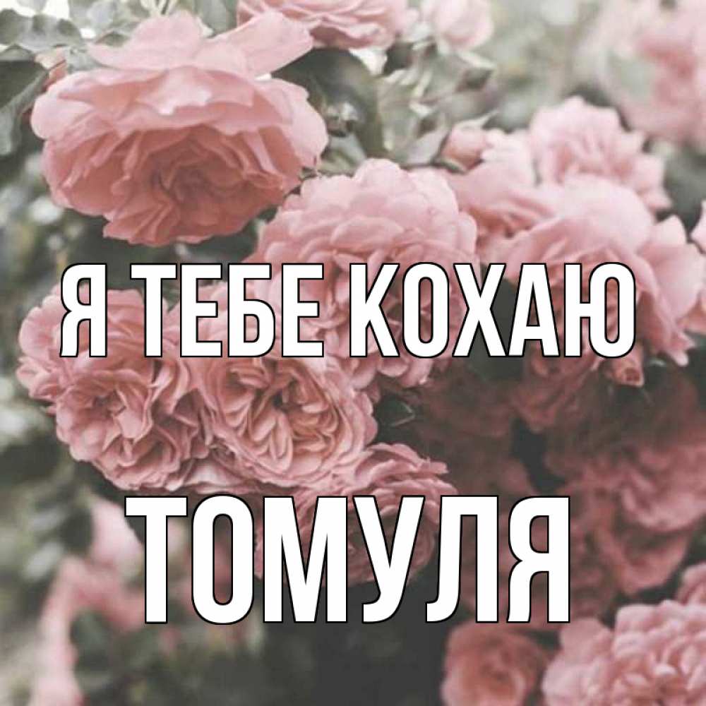 Открытка на каждый день з підписом, Томуля Я тебе кохаю розы 3 Прикольна листівка з побажанням онлайн скачати безкоштовно 