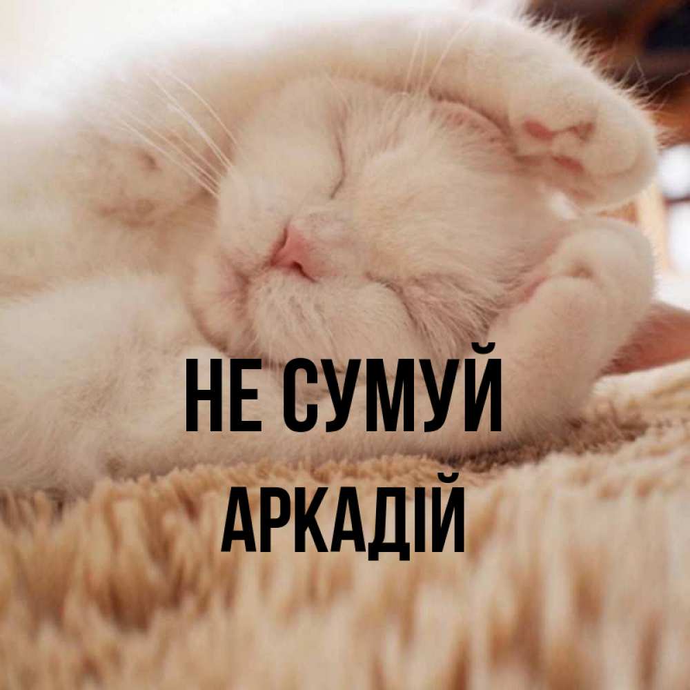 Открытка на каждый день з підписом, Аркадій Не сумуй Котенок спит Прикольна листівка з побажанням онлайн скачати безкоштовно 