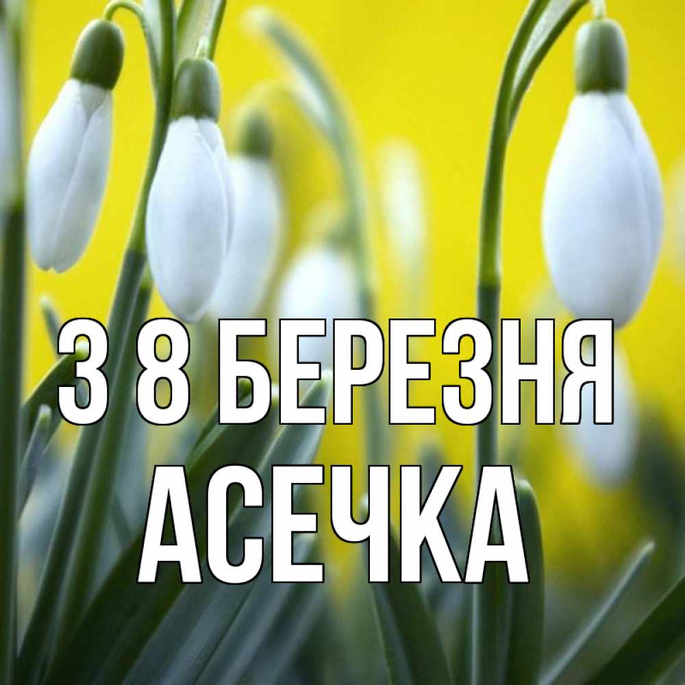 Открытка на каждый день з підписом, Асечка З 8 БЕРЕЗНЯ весенние цветы Прикольна листівка з побажанням онлайн скачати безкоштовно 