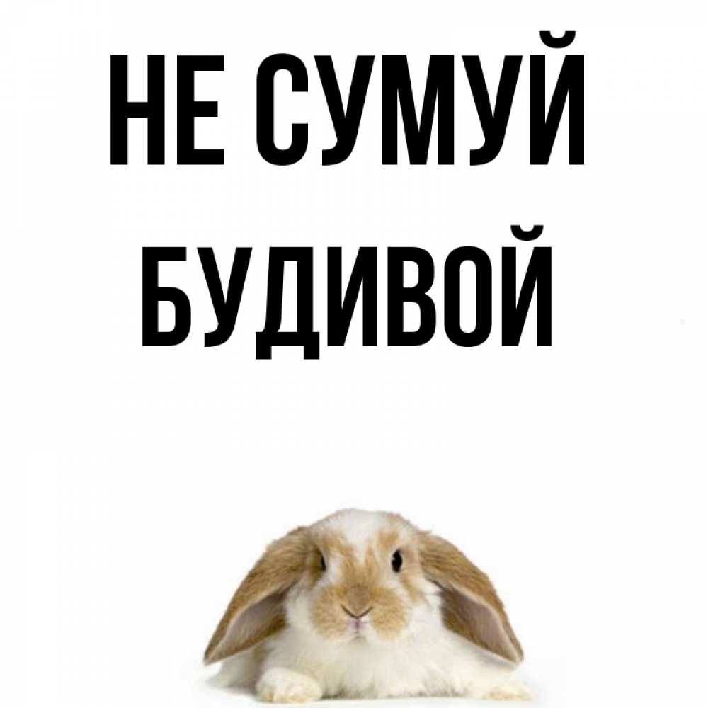Открытка на каждый день з підписом, Будивой Не сумуй коричнево белый заяц с большими ушками Прикольна листівка з побажанням онлайн скачати безкоштовно 