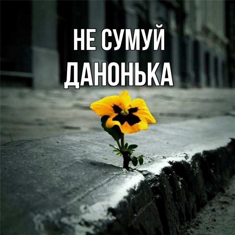 Открытка на каждый день з підписом, Данонька Не сумуй не сдавайся Прикольна листівка з побажанням онлайн скачати безкоштовно 